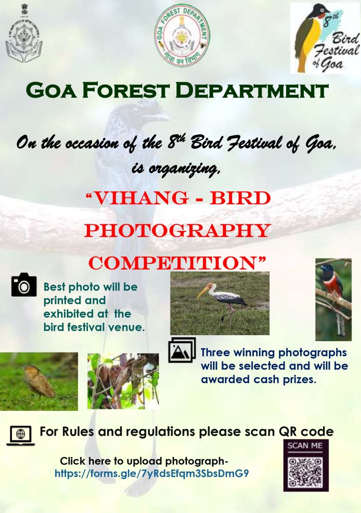 VIHANG - Bird photography competition