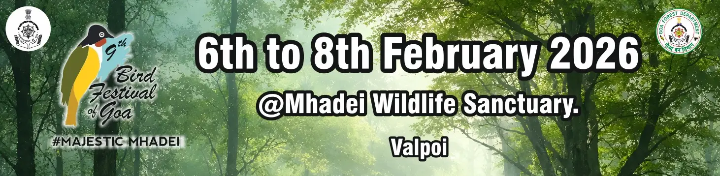 9th-bird-festival-goa